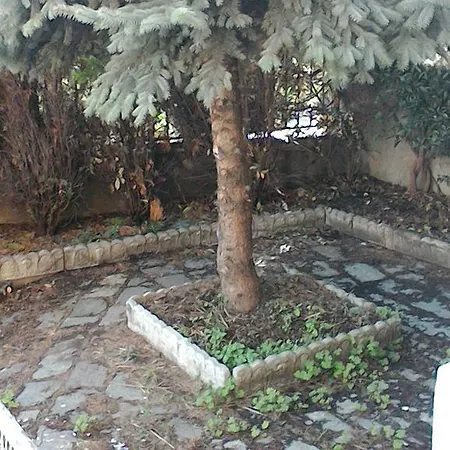 Contina Διαμέρισμα